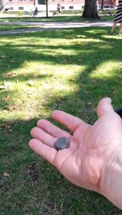 My hand, exhibiting the rock