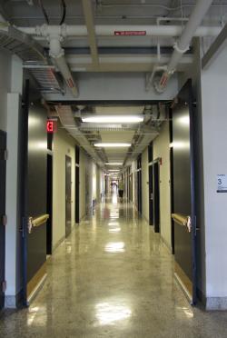 Portion of the Infinite Corridor