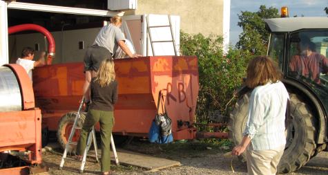 Unloading the grapes